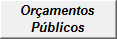 Oramentos Pblicos